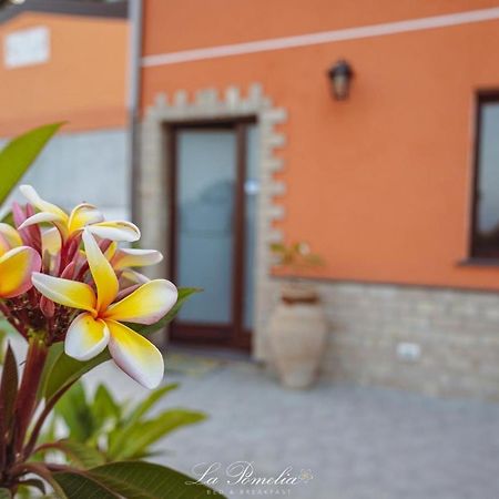 La Pomelia B&B Sofia Трапитело Екстериор снимка