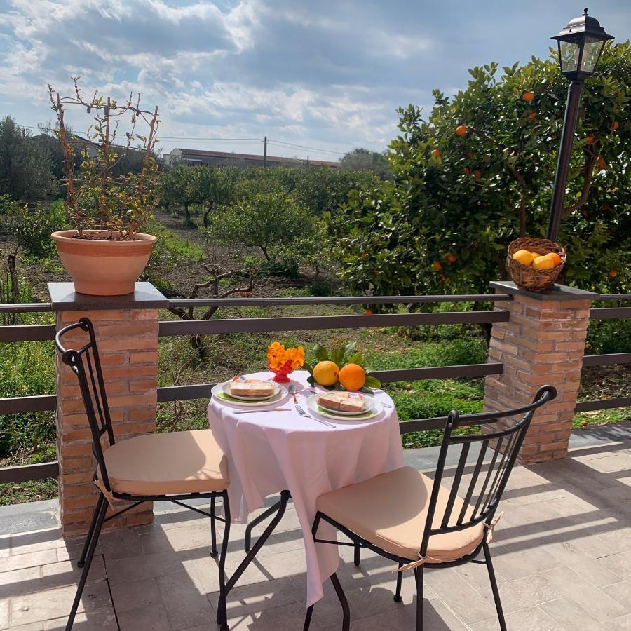 La Pomelia B&B Sofia Трапитело Екстериор снимка