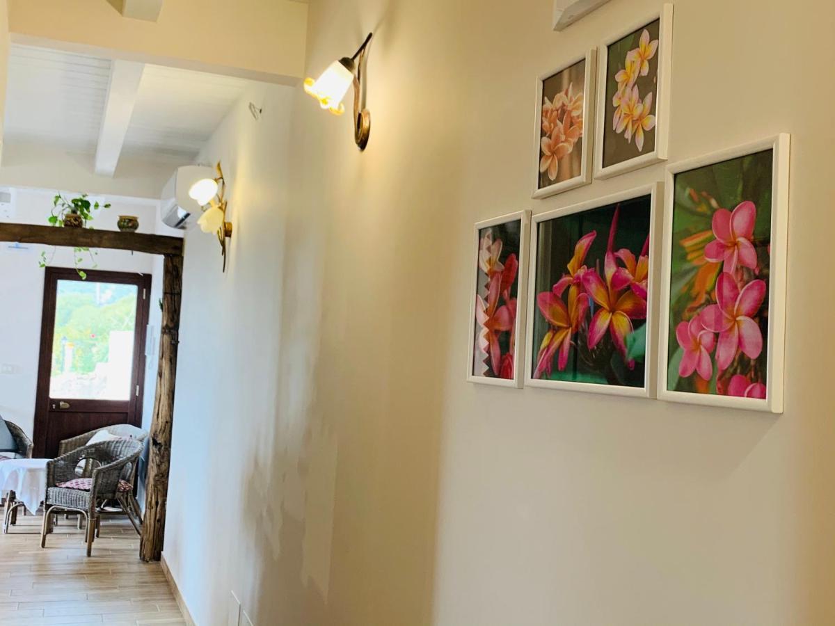 La Pomelia B&B Sofia Трапитело Екстериор снимка