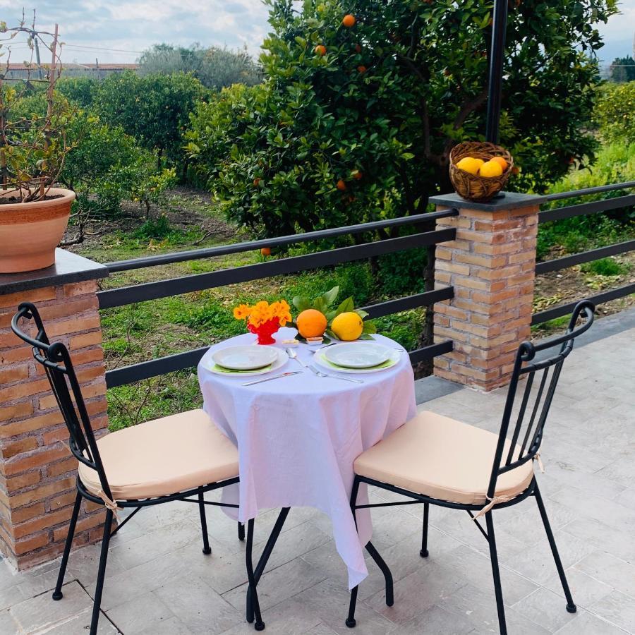 La Pomelia B&B Sofia Трапитело Екстериор снимка