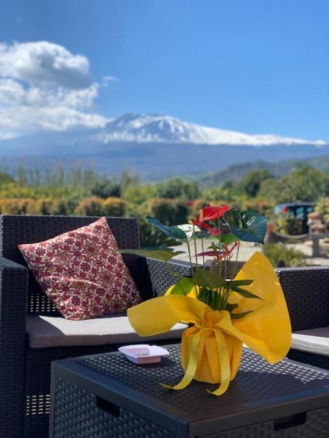 La Pomelia B&B Sofia Трапитело Екстериор снимка