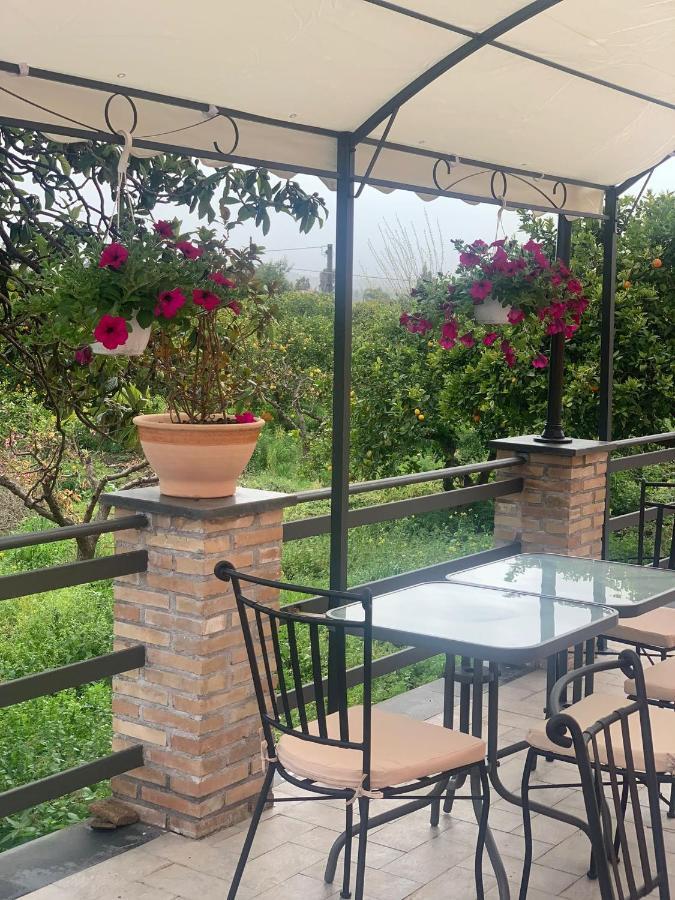 La Pomelia B&B Sofia Трапитело Екстериор снимка