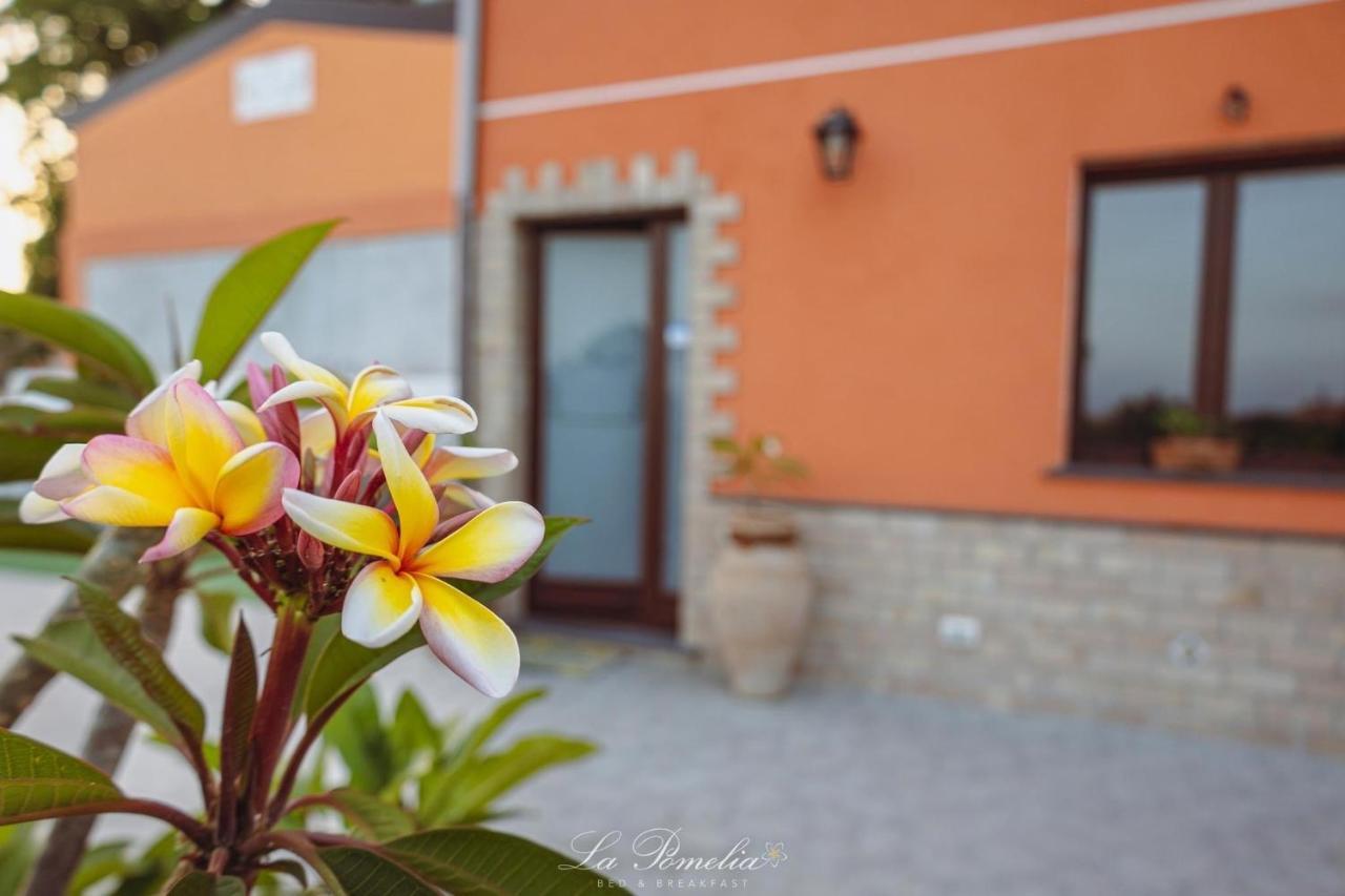 La Pomelia B&B Sofia Трапитело Екстериор снимка