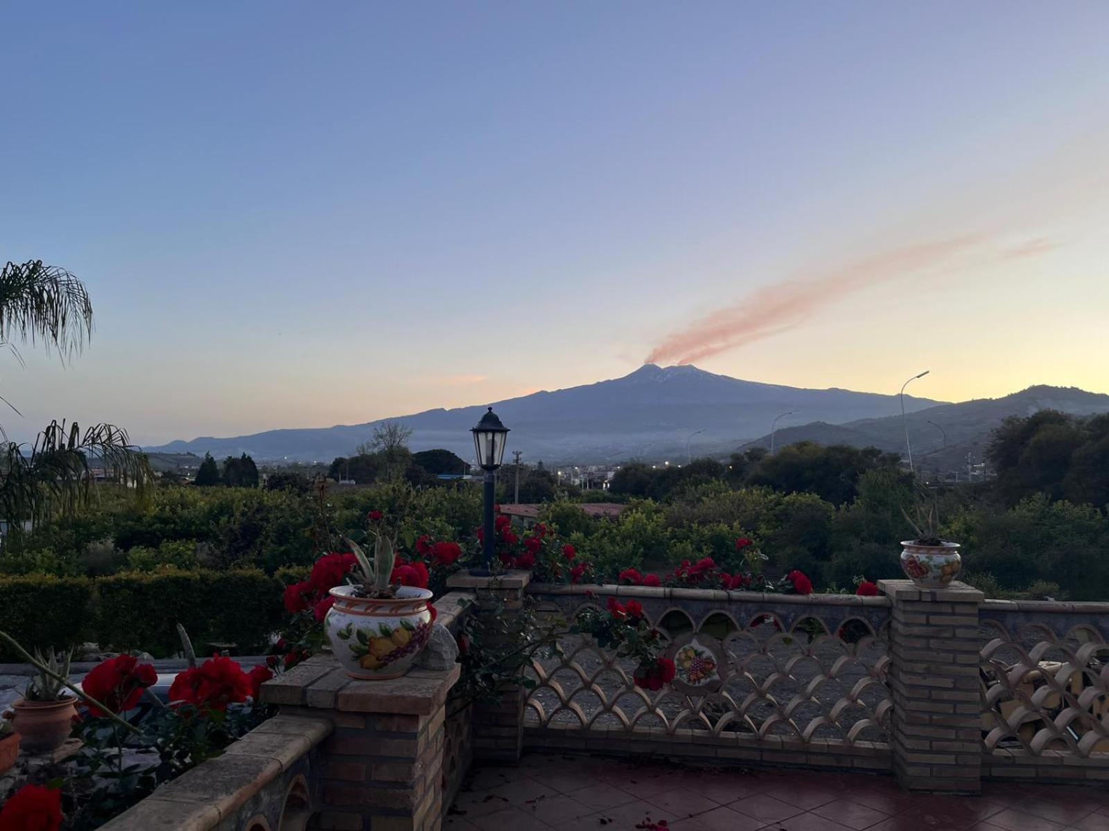 La Pomelia B&B Sofia Трапитело Екстериор снимка